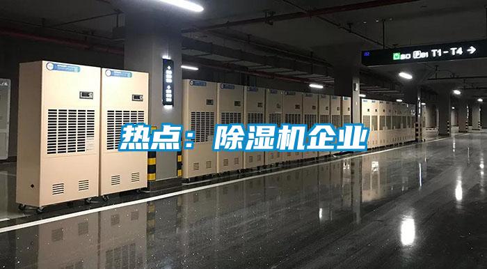 热点：麻豆视频黄网站企业