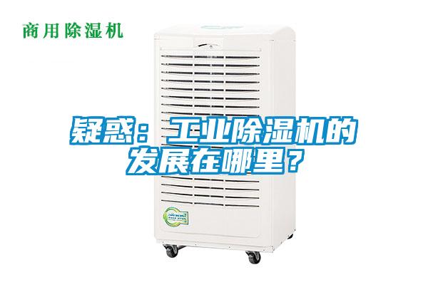 疑惑：工业麻豆视频黄网站的发展在哪里？