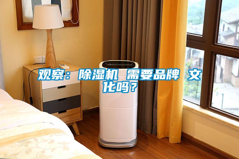 观察：麻豆视频黄网站 需要品牌 文化吗？