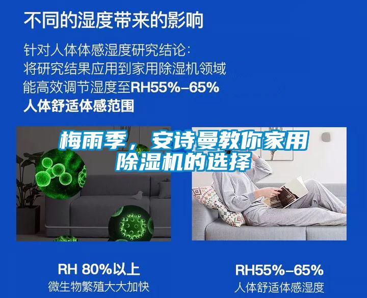梅雨季，麻豆APP官网教你家用麻豆视频黄网站的选择