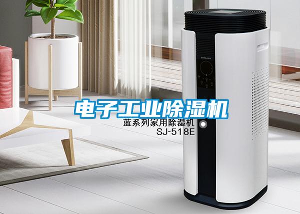 电子工业麻豆视频黄网站