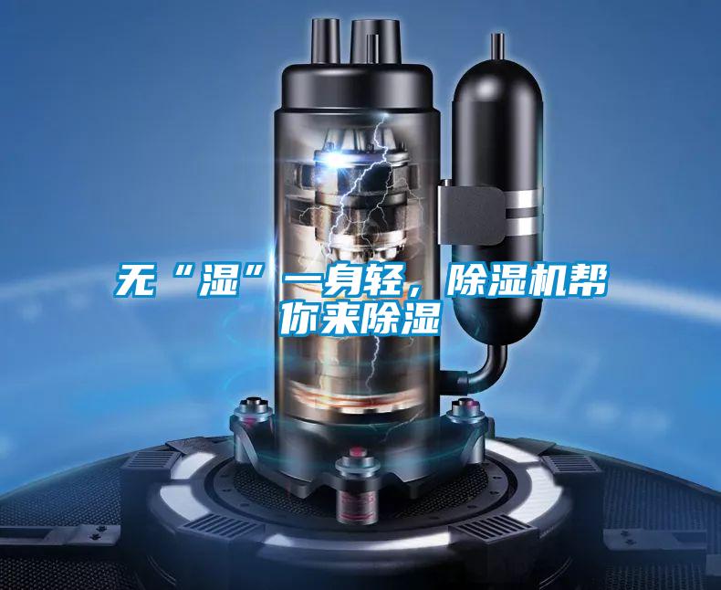 无“湿”一身轻，麻豆视频黄网站帮你来除湿