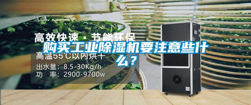 购买工业麻豆视频黄网站要注意些什么？