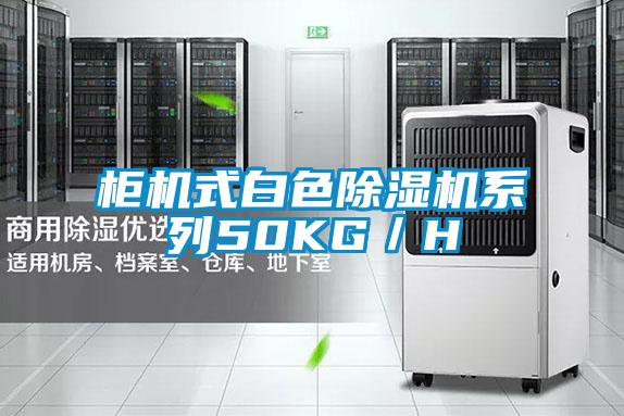 柜机式白色麻豆视频黄网站系列50KG／H