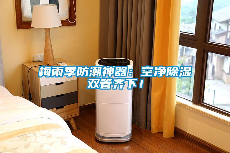 梅雨季防潮神器：空净除湿双管齐下！