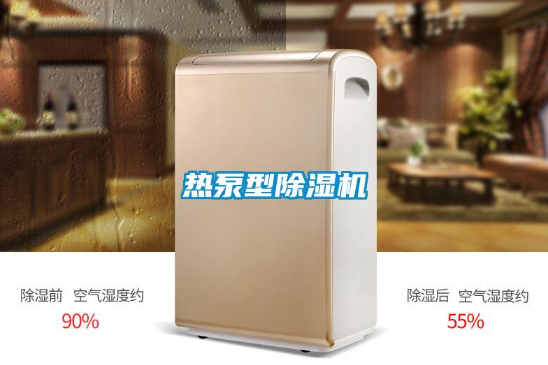 热泵型麻豆视频黄网站