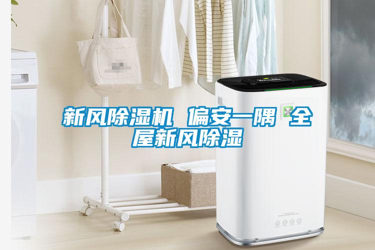 新风麻豆视频黄网站 偏安一隅 全屋新风除湿