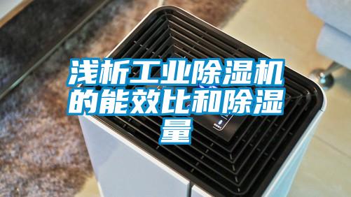 浅析工业麻豆视频黄网站的能效比和除湿量