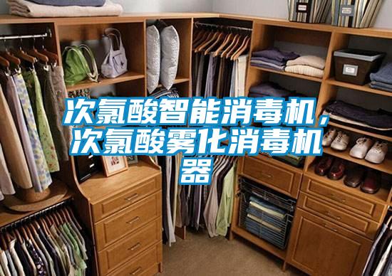 次氯酸智能消毒机，次氯酸雾化消毒机器