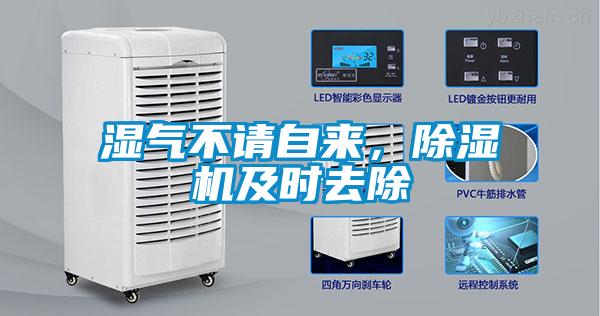 湿气不请自来，麻豆视频黄网站及时去除