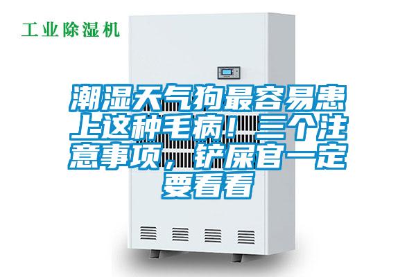 潮湿天气狗最容易患上这种毛病！三个注意事项，铲屎官一定要看看
