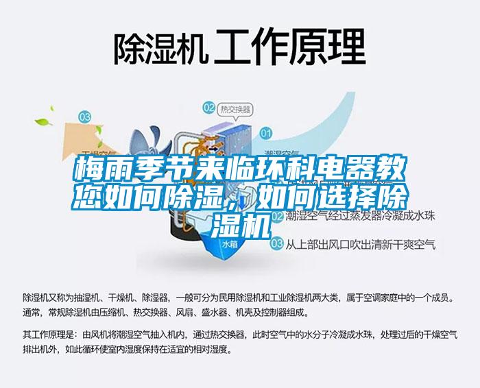 梅雨季节来临环科电器教您如何除湿，如何选择麻豆视频黄网站