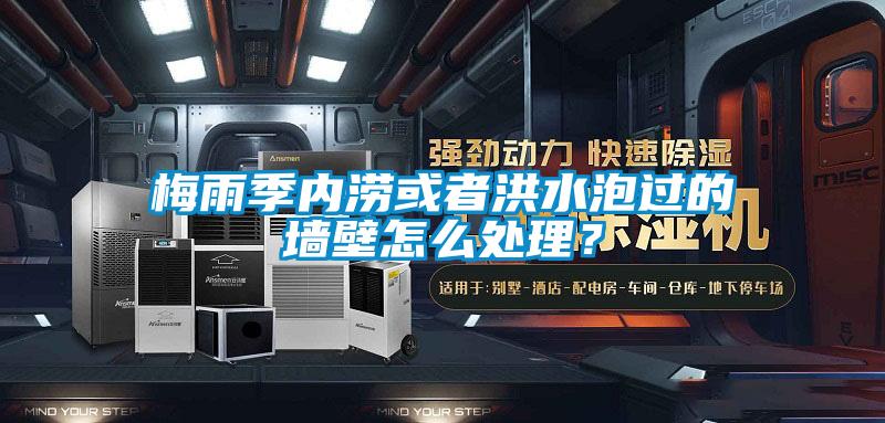 梅雨季内涝或者洪水泡过的墙壁怎么处理？