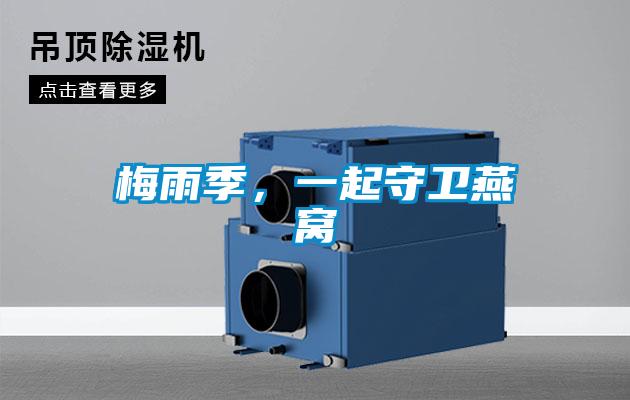 梅雨季，一起守卫燕窝