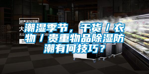 潮湿季节，干货／衣物／贵重物品除湿防潮有何技巧？