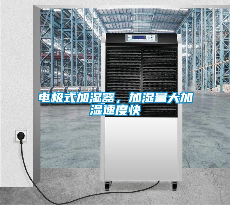 电极式加湿器，加湿量大加湿速度快