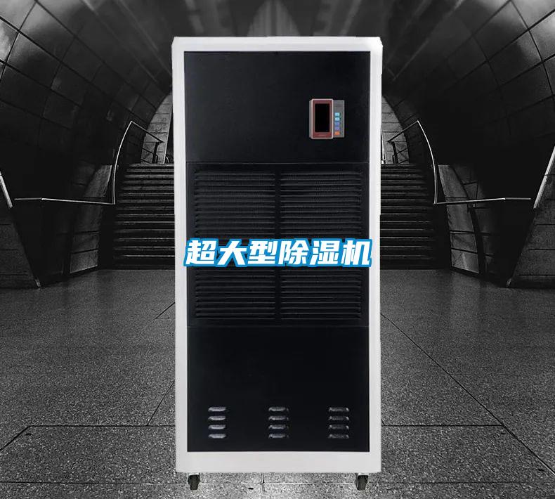 超大型麻豆视频黄网站