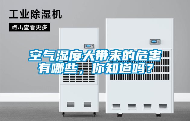 空气湿度大带来的危害有哪些，你知道吗？