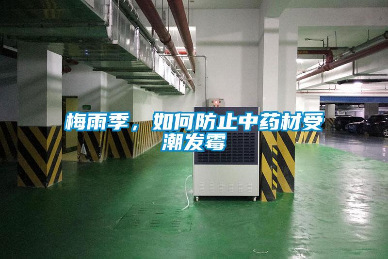 梅雨季，如何防止中药材受潮发霉