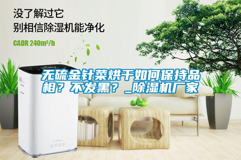 无硫金针菜烘干如何保持品相？不发黑？_麻豆视频黄网站厂家