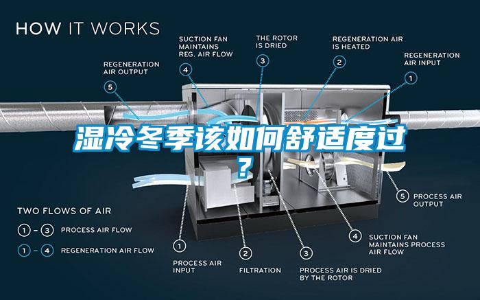 湿冷冬季该如何舒适度过？
