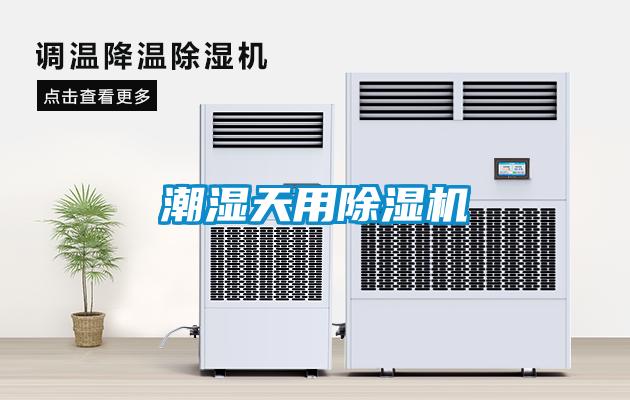 潮湿天用麻豆视频黄网站