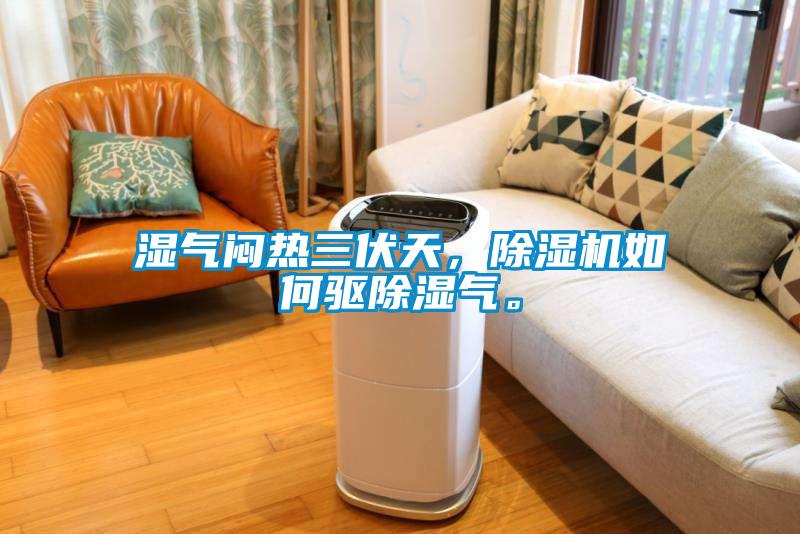 湿气闷热三伏天，麻豆视频黄网站如何驱除湿气。
