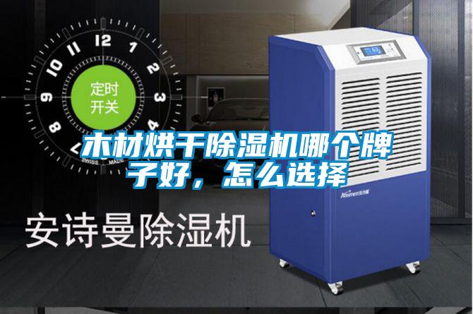 木材烘干麻豆视频黄网站哪个牌子好，怎么选择