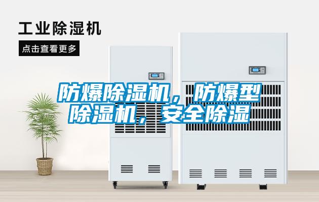 防爆麻豆视频黄网站，防爆型麻豆视频黄网站，安全除湿