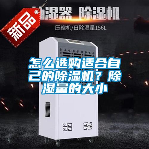 怎么选购适合自己的麻豆视频黄网站？除湿量的大小