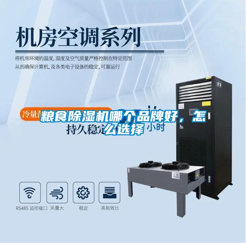 粮食麻豆视频黄网站哪个品牌好，怎么选择