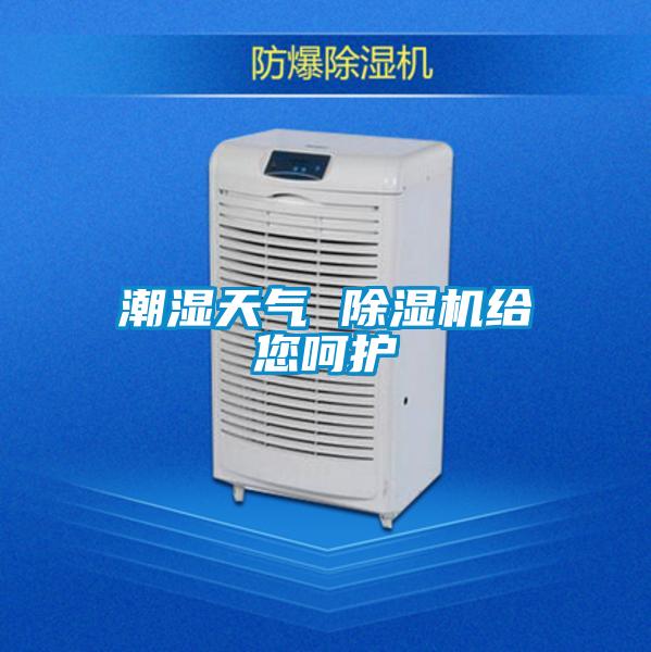 潮湿天气 麻豆视频黄网站给您呵护