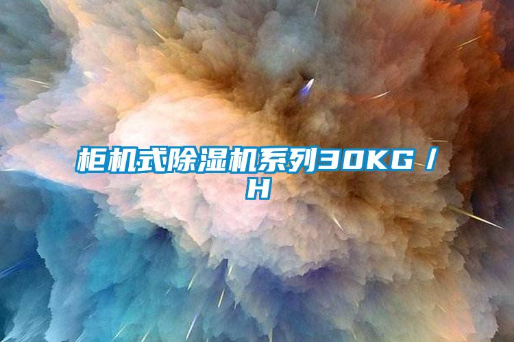 柜机式麻豆视频黄网站系列30KG／H