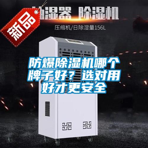 防爆麻豆视频黄网站哪个牌子好？选对用好才更安全