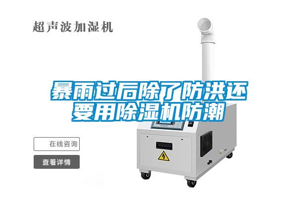 暴雨过后除了防洪还要用麻豆视频黄网站防潮
