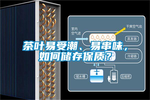 茶叶易受潮、易串味，如何储存保质？