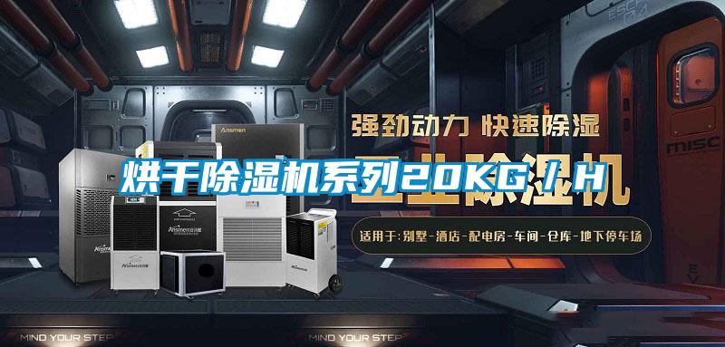 烘干麻豆视频黄网站系列20KG／H