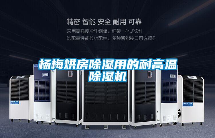 杨梅烘房除湿用的耐高温麻豆视频黄网站