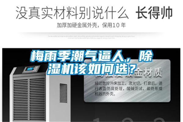 梅雨季潮气逼人，麻豆视频黄网站该如何选？