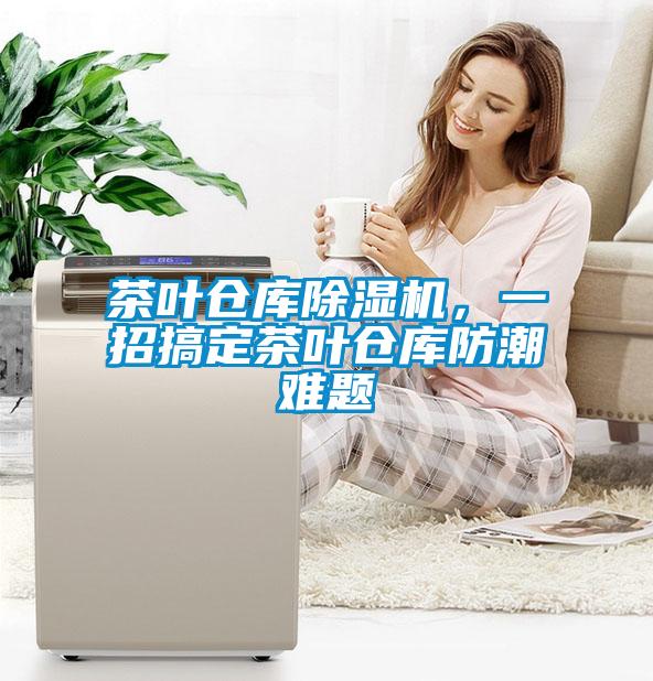 茶叶仓库麻豆视频黄网站，一招搞定茶叶仓库防潮难题