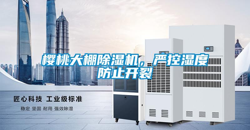 樱桃大棚麻豆视频黄网站，严控湿度防止开裂