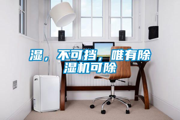 湿，不可挡，唯有麻豆视频黄网站可除