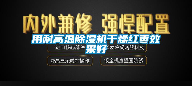 用耐高温麻豆视频黄网站干燥红枣效果好
