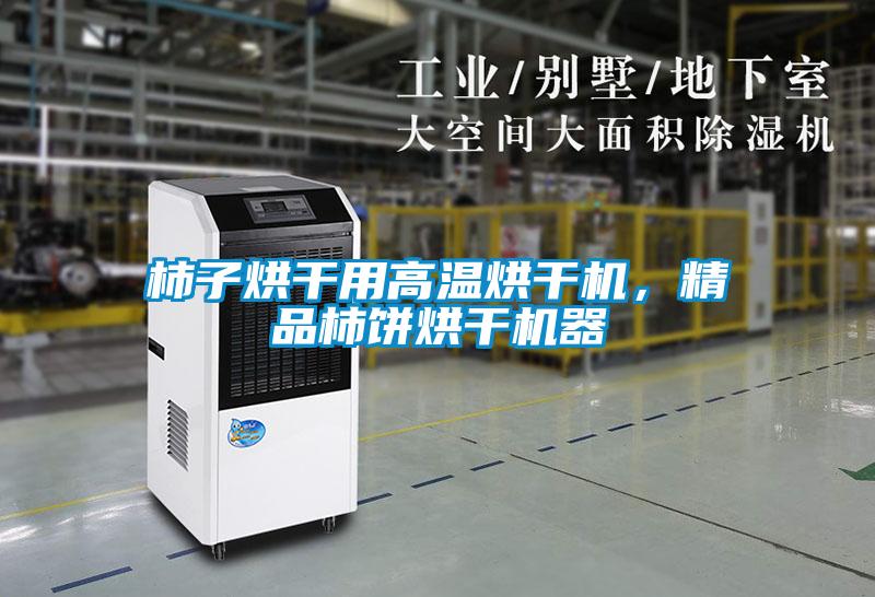 柿子烘干用高温烘干机，精品柿饼烘干机器