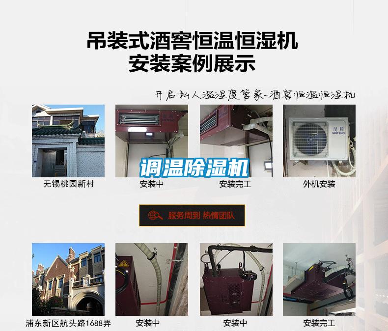 调温麻豆视频黄网站