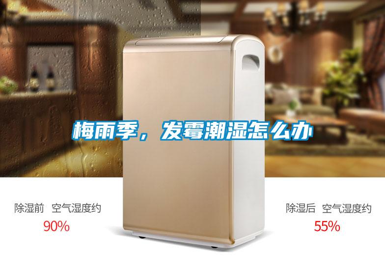 梅雨季，发霉潮湿怎么办