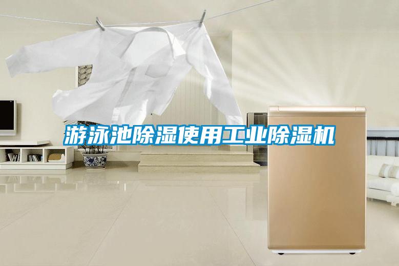游泳池除湿使用工业麻豆视频黄网站