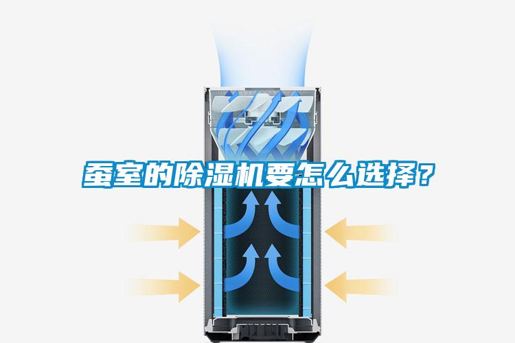 蚕室的麻豆视频黄网站要怎么选择？
