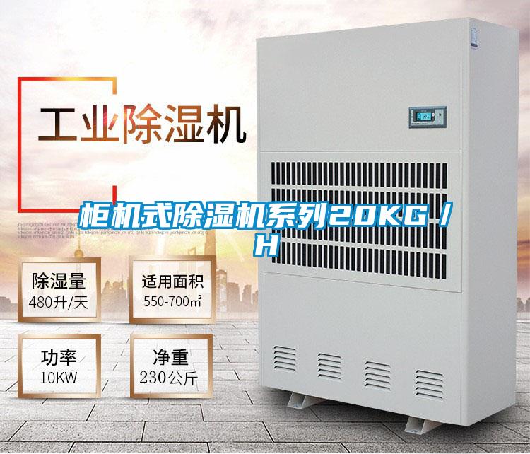 柜机式麻豆视频黄网站系列20KG／H