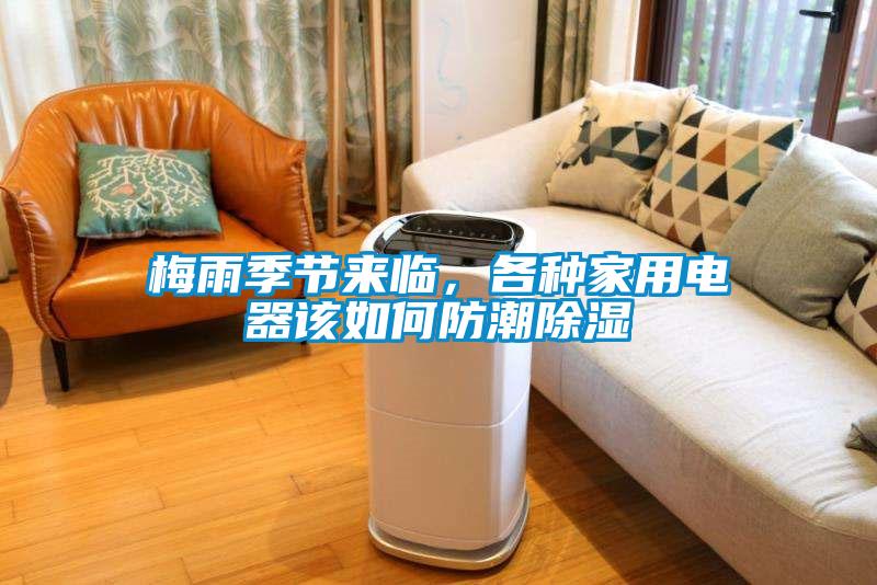 梅雨季节来临，各种家用电器该如何防潮除湿